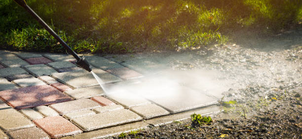 Solar Panel Cleaning in Kingston, IL